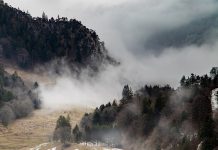 Rezerwaty przyrody przy Hotelu Kmicic